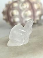 Bergkristal slak, Ophalen of Verzenden