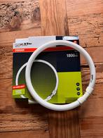 Philips Circline-TL buis TL 5C 22W/830 (2x), Huis en Inrichting, Lampen | Losse lampen, Ophalen of Verzenden, Minder dan 30 watt