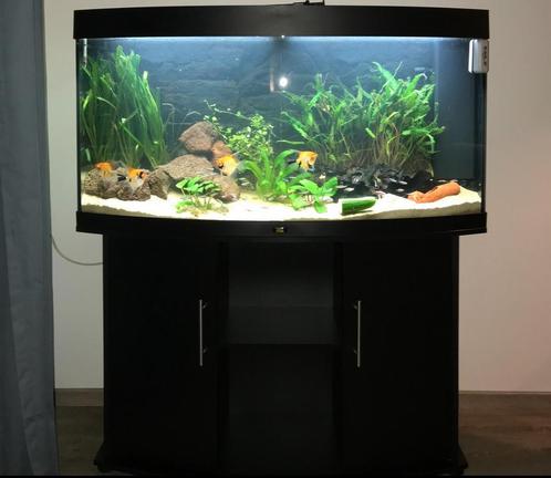 Compleet Aquarium Juwel Vision 260 inclusief onderkast, Dieren en Toebehoren, Vissen | Aquaria en Toebehoren, Zo goed als nieuw