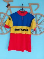 WIELERSHIRT TEAM BATAVUS, Ophalen of Verzenden, Zo goed als nieuw, Kleding