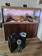 Juwel rio 450 + helialux smart control verlichting en toebeh, Dieren en Toebehoren, Ophalen, Leeg aquarium