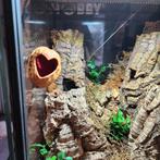 Sling en springspin huisjes, Dieren en Toebehoren, Ophalen of Verzenden, Nieuw, Terrarium of Paludarium