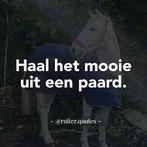 Gediplomeerd instructie/paardrijles aangeboden Overijssel, Dieren en Toebehoren, Stalling