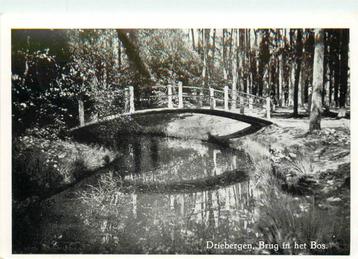(388-390-041) Driebergen-Rijsenburg Brug in het bos beschikbaar voor biedingen