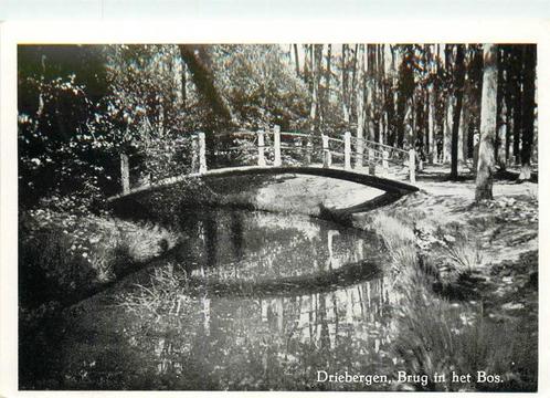 (388-390-041) Driebergen-Rijsenburg Brug in het bos, Verzamelen, Ansichtkaarten | Nederland, Utrecht, Verzenden