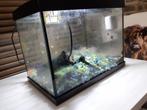 Aquarium voor vissen (kant en klaar), Ophalen, Gebruikt, Leeg aquarium