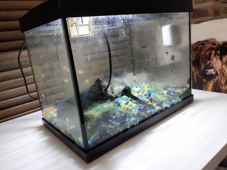 Aquarium voor vissen (kant en klaar), Dieren en Toebehoren, Vissen | Aquaria en Toebehoren, Gebruikt, Leeg aquarium, Ophalen
