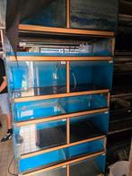 Stelling, Dieren en Toebehoren, Vissen | Aquaria en Toebehoren, Ophalen, Gebruikt, Nvt, Nvt