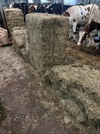 Eerste snede kuilbalen heel mooi voer gesneden., Dieren en Toebehoren, Dierenvoeding, Ophalen, Vee