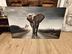 Olifant decoratie, Huis en Inrichting, Ophalen, Gebruikt, 50 tot 75 cm, Schilderij