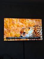 LG smart tv 75 inch, Audio, Tv en Foto, Televisies, Ophalen of Verzenden, Zo goed als nieuw, 100 cm of meer, 4k (UHD)