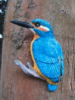 IJSVOGEL  (L) THE BEAUTY, Ophalen of Verzenden, Nieuw