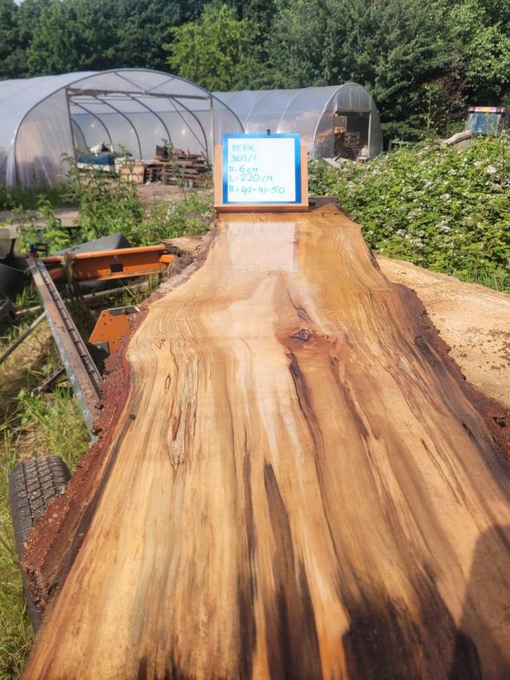 Schaaldeel boomstamtafel boomplank BERK MET SLAAP UNIEK!!, Doe-het-zelf en Verbouw, Hout en Planken, Nieuw, Ophalen of Verzenden