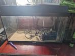 Aquarium, Dieren en Toebehoren, Vissen | Aquaria en Toebehoren, Ophalen, Gebruikt, Leeg aquarium