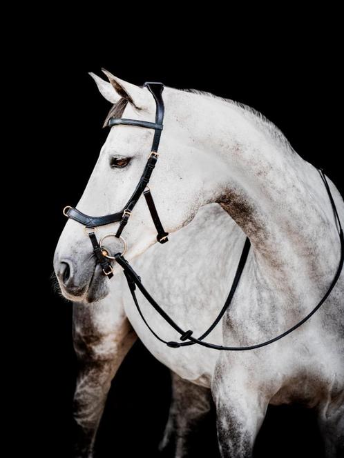 Rambo Micklem Multi Bridle, Pony, Cob, Full, X-Full, Dieren en Toebehoren, Paarden en Pony's | Hoofdstellen en Tuigage, Nieuw