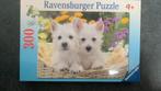 Puzzel Schattige West Highland terriers 300 stukjes, Ophalen of Verzenden, Minder dan 500 stukjes, Nieuw