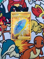 Big Parasol 199/189, Verzenden, Zo goed als nieuw, Losse kaart, Foil