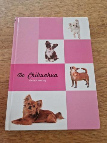 De Chihuahua,
Cindy Schwering beschikbaar voor biedingen