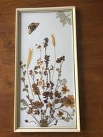 "Droogboeket met Vlinder" Ingelijst met Glas Jaren 60, Ophalen of Verzenden, Zo goed als nieuw