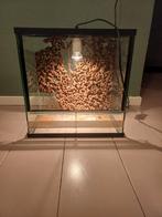 Terrarium 40x 40x 24, Dieren en Toebehoren, Reptielen en Amfibieën | Toebehoren, Ophalen, Gebruikt