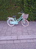 Meisjes fiets met voorrek mandje Terugtraprem 20inch, Fietsen en Brommers, Ophalen, Gebruikt, 20 inch, Handrem