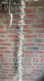 Drijfhout decoratie 100 cm, Ophalen of Verzenden, Zo goed als nieuw