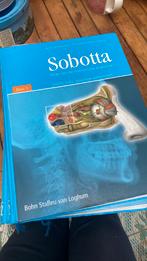 Sobotta deel 1 en 2 uit 2006, Ophalen of Verzenden, Gelezen, Overige niveaus