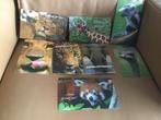 Nieuw 7 ansichtkaarten wilde dieren ongelopen voor €5,-, Ophalen, 1980 tot heden, Ongelopen, Wild dier