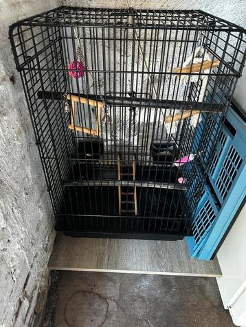 Vogelkooi beschikbaar voor biedingen