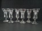 6 Jägermeister borrelglaasjes 2 cl, Verzamelen, Glas en Borrelglaasjes, Nieuw, Ophalen of Verzenden, Borrel- of Shotglas