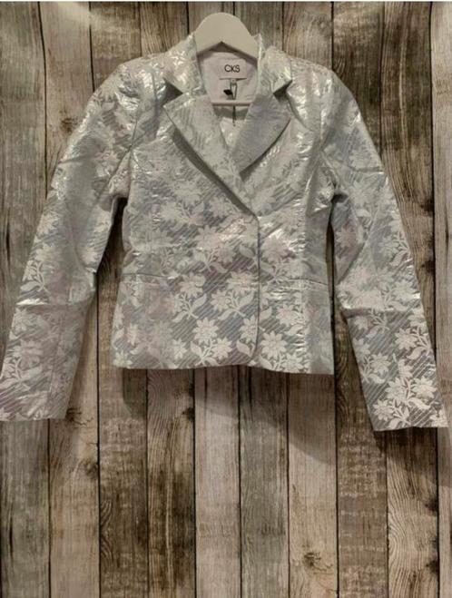 Gaaf zilver jasje van CKS (Maat 164) NIEUW!, Kinderen en Baby's, Kinderkleding | Maat 164, Nieuw, Meisje, Trui of Vest, Verzenden