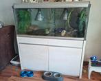Aquarium/Terrarium, Dieren en Toebehoren, Reptielen en Amfibieën | Toebehoren, Ophalen of Verzenden, Zo goed als nieuw