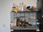 Hamsterkooi + toebehoren, Dieren en Toebehoren, Knaagdieren en Konijnen | Hokken en Kooien, Ophalen, Zo goed als nieuw