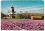 Holland Molenland Gelopen  Ansichtkaart (B5703), Ophalen of Verzenden, 1980 tot heden, Gelopen, Noord-Holland