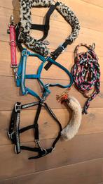 Halster setje, Ophalen of Verzenden, Gebruikt, Overige soorten