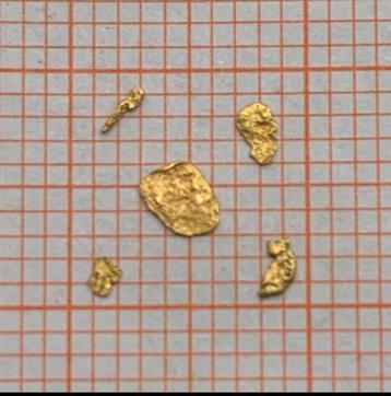5 st Goud Nugget uit Alaska beschikbaar voor biedingen