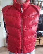 Bodywarmer Gaastra Rood maat M Heren of Dames, Kleding | Dames, Bodywarmers, Maat 38/40 (M), Gaastra, Ophalen of Verzenden, Zo goed als nieuw