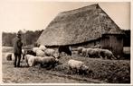 Rijssen - Op de Heide, Verzenden, 1940 tot 1960, Ongelopen, Overijssel