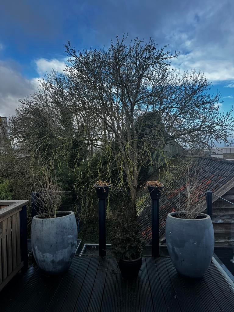 2 big pots, Tuin en Terras, Ophalen, Rond, Zo goed als nieuw, Balkon