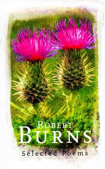 Robert Burns - Phoenix Poetry / 9780753816639   beschikbaar voor biedingen