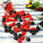 Kunst Frambozen En Bramen / Nep Sier Fruit Voedsel Framboos, Huis en Inrichting, Woonaccessoires | Overige, Verzenden, Nieuw