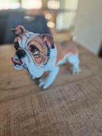 Gipsen Engelse bulldog beeld, Ophalen of Verzenden, Dier