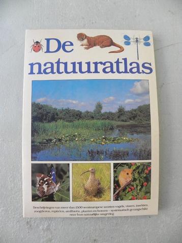 De Natuuratlas, Becht beschikbaar voor biedingen