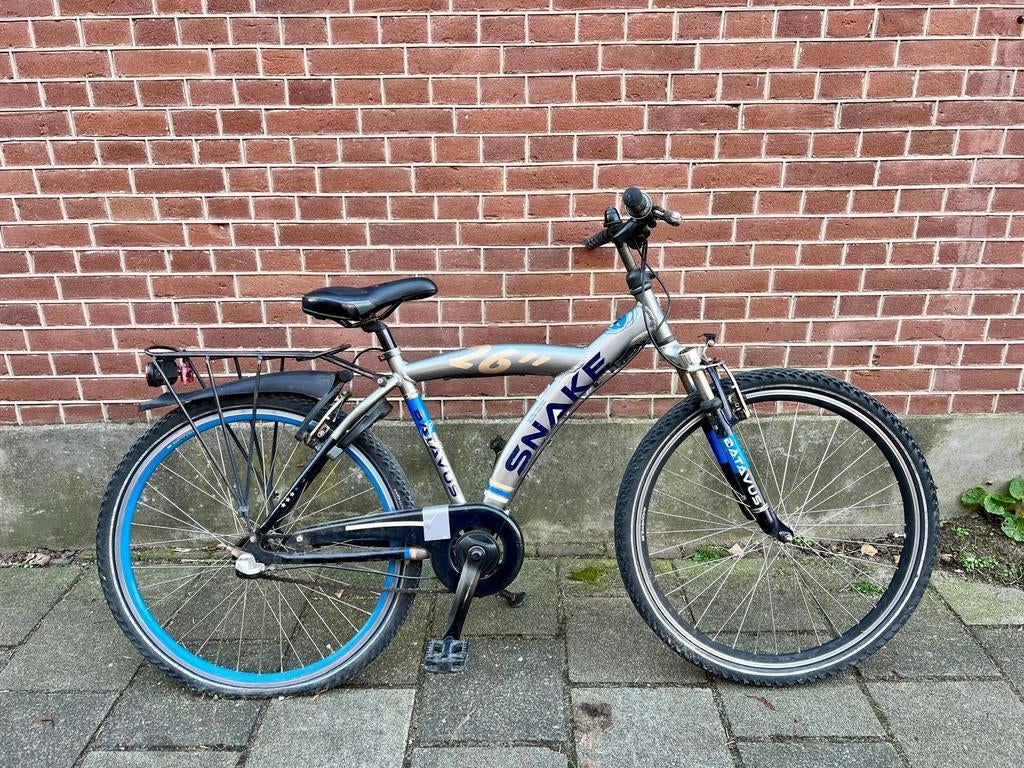 Batavus Snake, Ophalen of Verzenden, Gebruikt