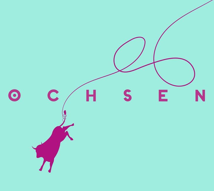 CD-sale OCHSEN - Bungee, Cd's en Dvd's, Cd's | Jazz en Blues, Zo goed als nieuw, Jazz, 1980 tot heden, Verzenden