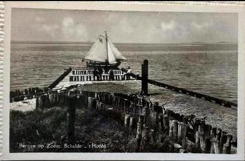 Bergen op Zoom - Schelde 't Hoofd zeilboot vóór 1935 beschikbaar voor biedingen