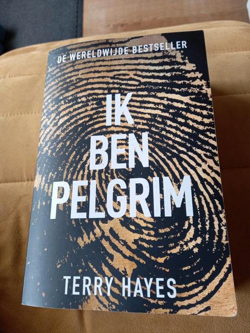 Terry Hayes - Ik ben Pelgrim, Boeken, Thrillers, Zo goed als nieuw, Nederland, Ophalen of Verzenden