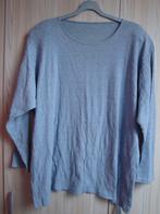Grijze longsleeve. Maat 48., Maat 46/48 (XL) of groter, Ophalen of Verzenden, Zo goed als nieuw, Lange mouw