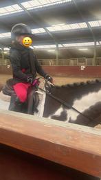 Gezocht verzorgpony/bijrijder aangeboden, Dieren en Toebehoren, Paarden en Pony's | Overige Paardenspullen, Ophalen of Verzenden