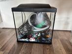 Superfish Aquarium Start 30 Tropical Kit Retro Led 27, Dieren en Toebehoren, Vissen | Aquaria en Toebehoren, Ophalen of Verzenden
